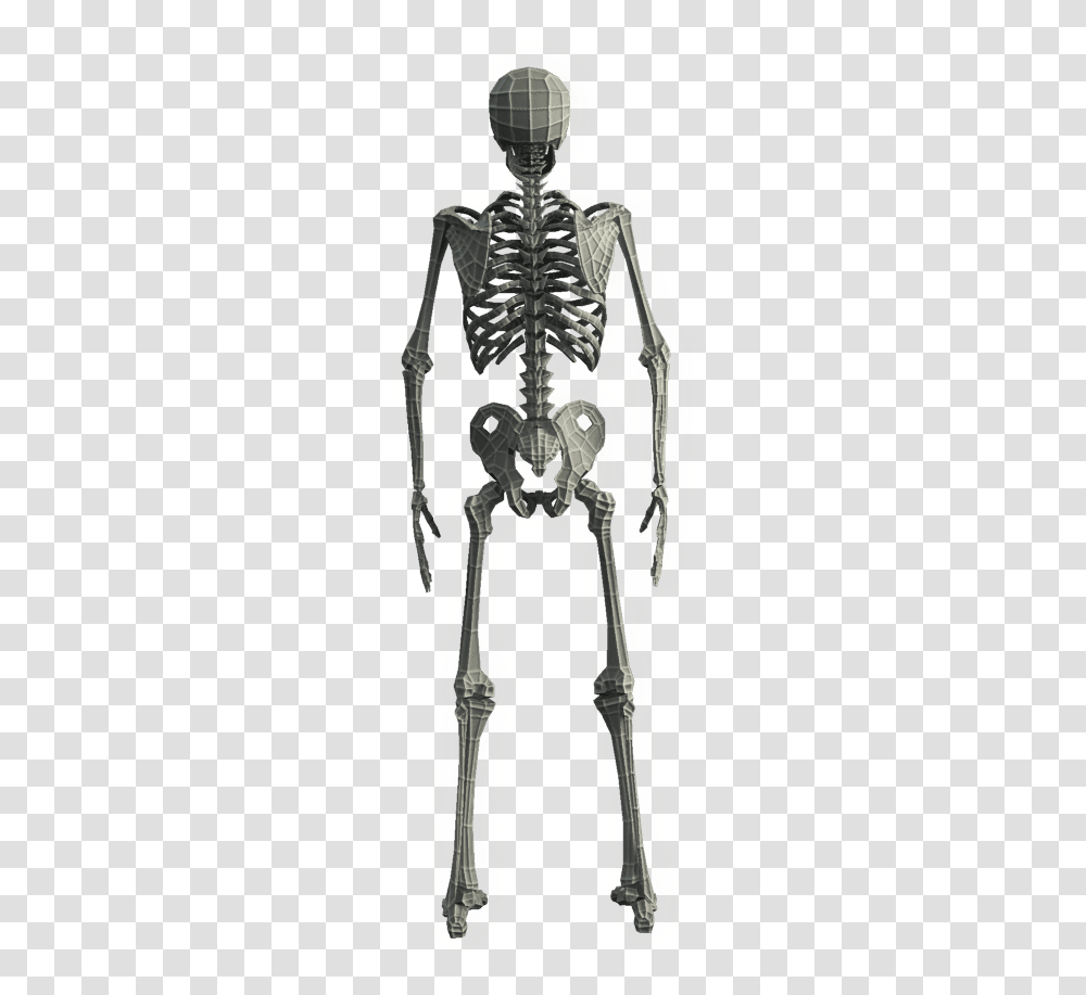 Clip Art Base Mesh D Models Skeleton, X-Ray, Medical Imaging X-Ray Film, Ct Scan Transparent Png