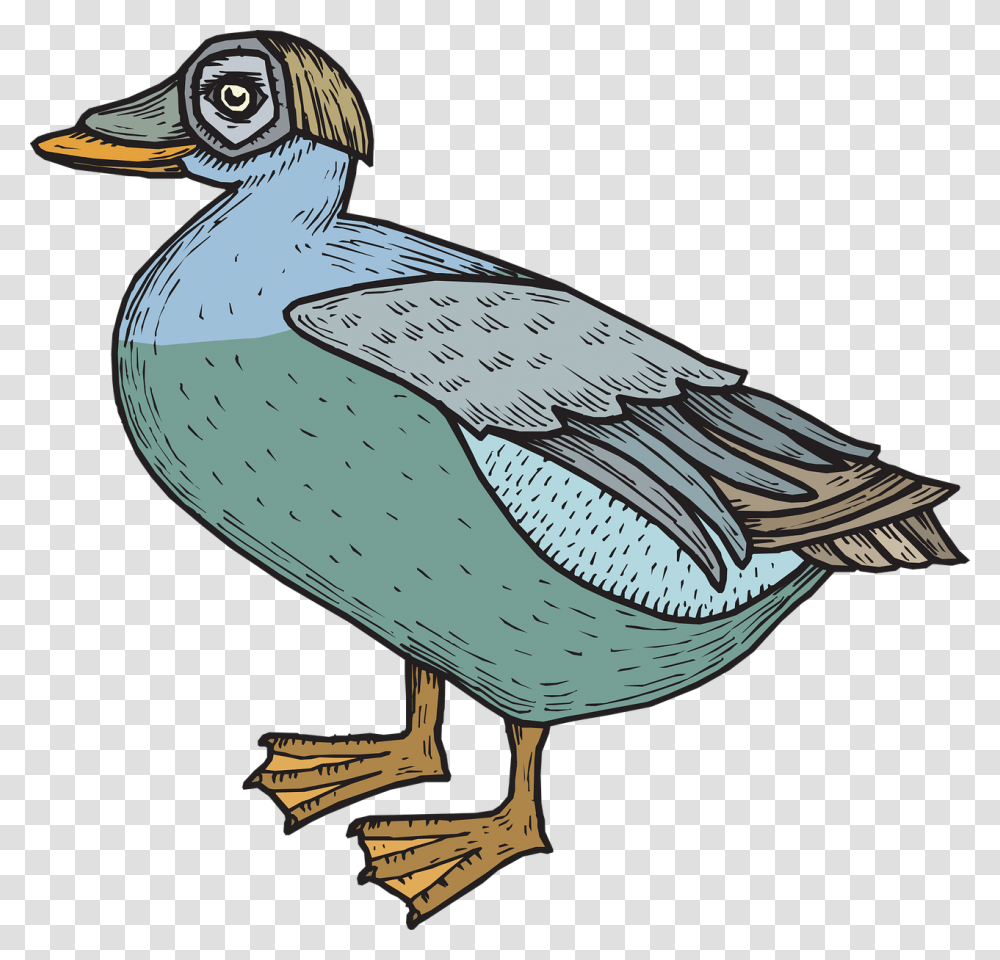 Clip Art, Beak, Bird, Animal, Waterfowl Transparent Png