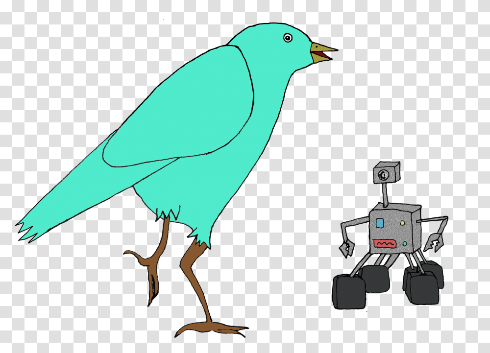 Clip Art Beak Portable Network Graphics Bird Illustration Portable Network Graphics, Animal, Canary, Finch, Jay Transparent Png