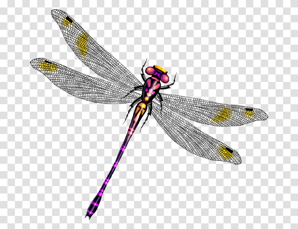 Clip Art Beautiful Wings Transprent, Light, Wand, Hand Transparent Png