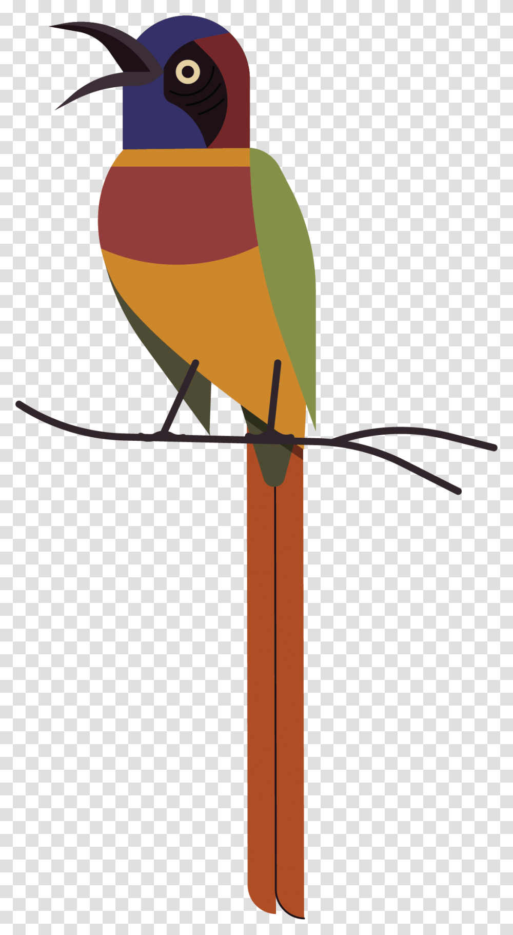 Clip Art, Bee Eater, Bird, Animal, Finch Transparent Png