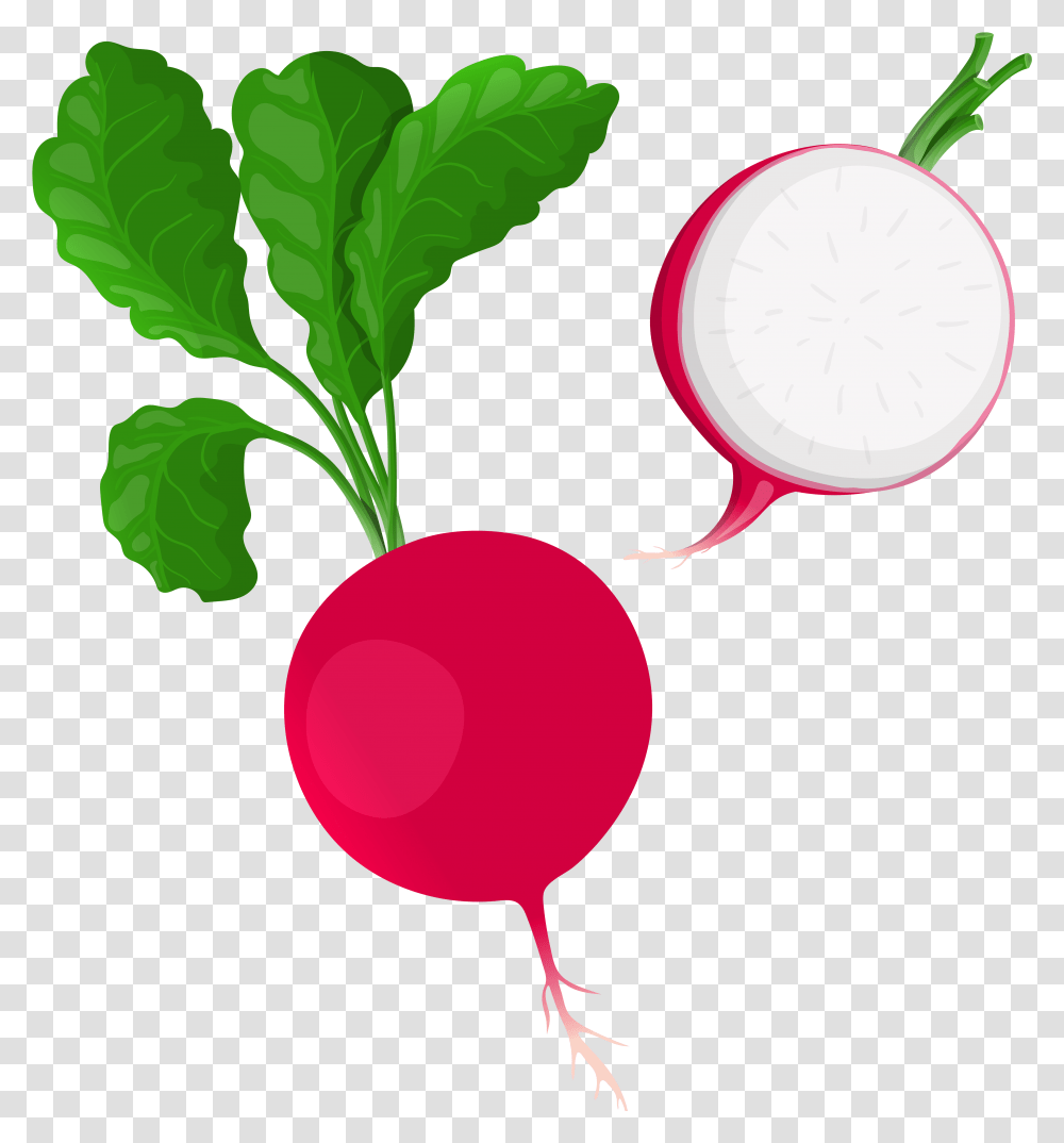 Clip Art Best Clipart Background Radish, Vegetable, Plant, Food, Clock Tower Transparent Png