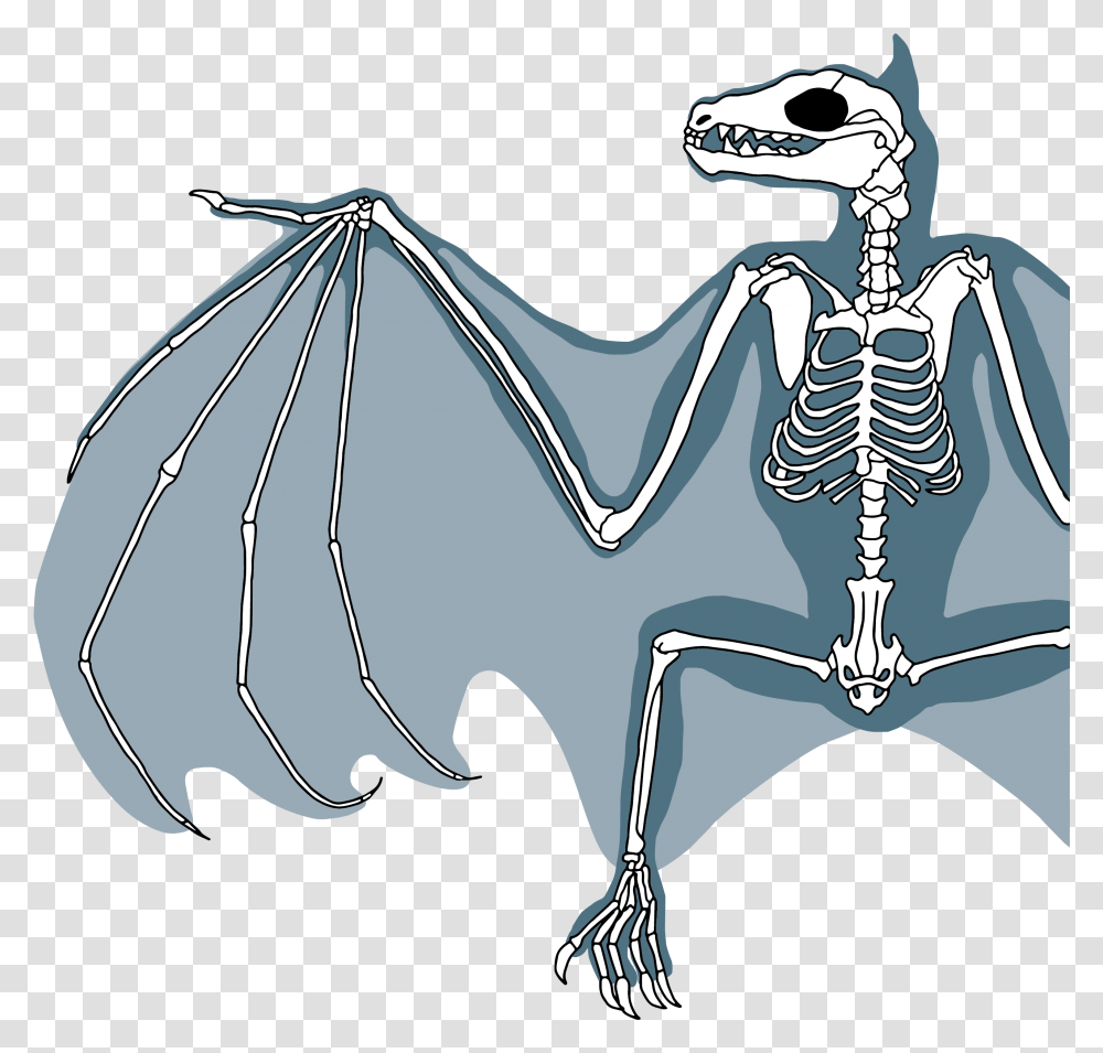 Clip Art Biology All About Bats Flying Fox Bat Skeleton, Antelope, Wildlife, Mammal, Animal Transparent Png