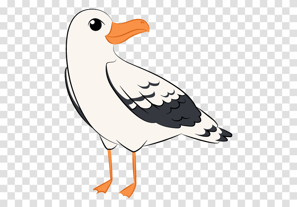 Clip Art, Bird, Animal, Beak, Goose Transparent Png