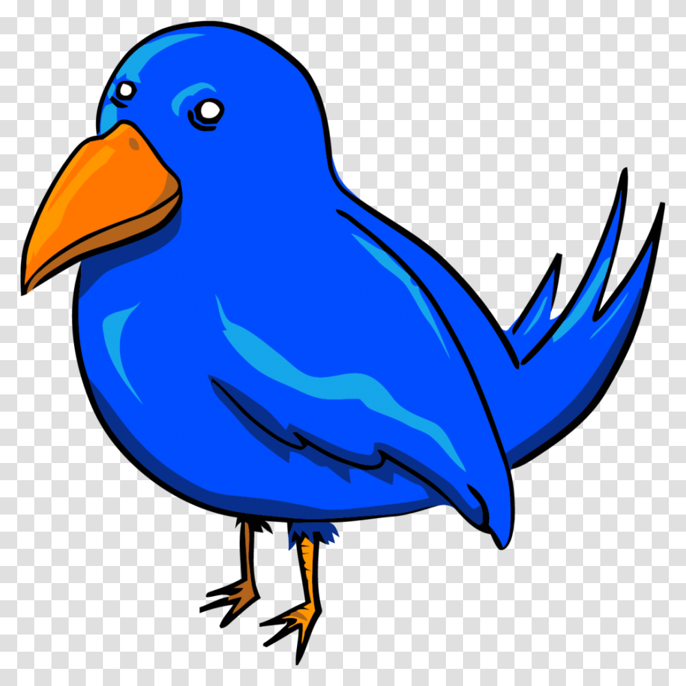 Clip Art Bird Face Winging, Animal, Beak, Finch, Jay Transparent Png