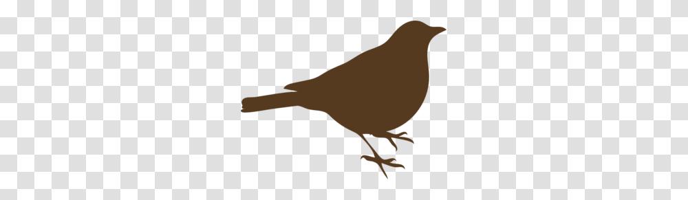 Clip Art Bird Song, Animal, Finch, Quail, Sparrow Transparent Png