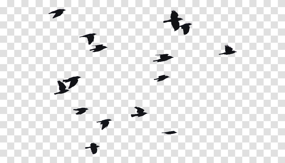 Clip Art Birds Flying Image Birds Flying Silhouette, Animal, Person, Building Transparent Png