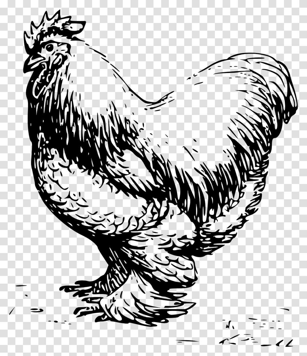 Clip Art Black And White Chicken, Gray, World Of Warcraft Transparent Png