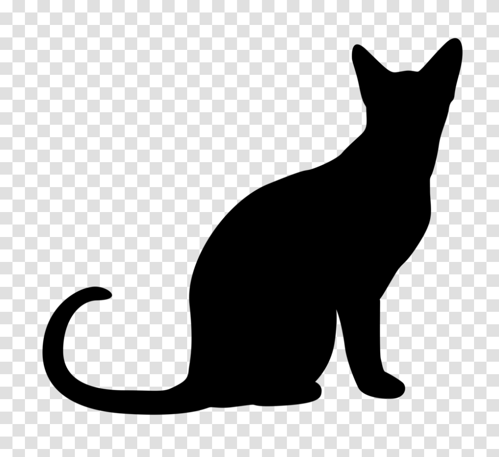 Clip Art Black And White Tabby Cat, Pet, Mammal, Animal, Black Cat Transparent Png