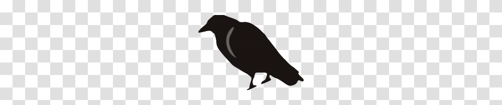 Clip Art Black Crow Clip Art, Animal, Vulture, Bird, Moon Transparent Png