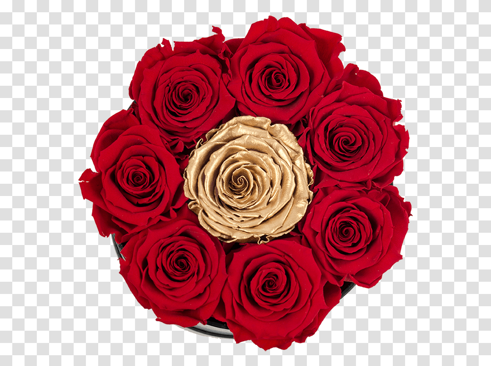 Clip Art Black Rose Bouquet Garden Roses, Floral Design, Pattern, Flower Transparent Png