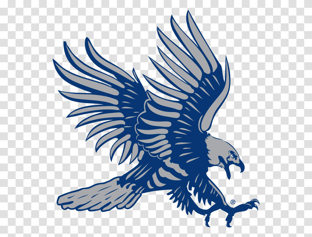 Clip Art Blue Hawk Logos Dickinson State Blue Hawks, Eagle, Bird, Animal, Jay Transparent Png