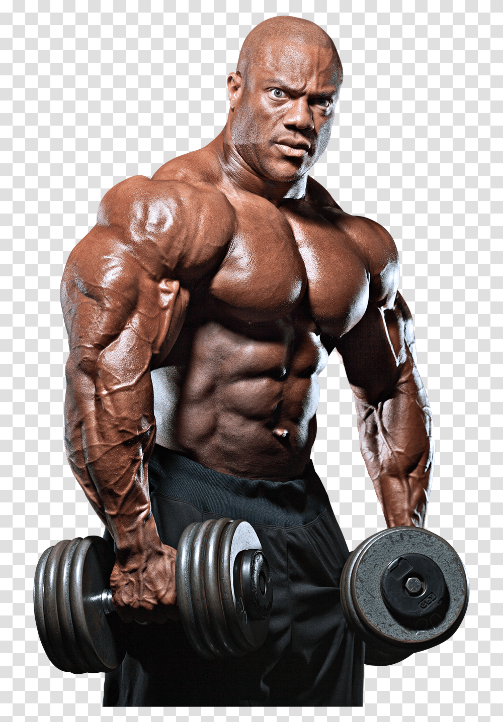 Clip Art Bodybuilders Gym Phil Heath, Person, Human, Working Out, Sport Transparent Png