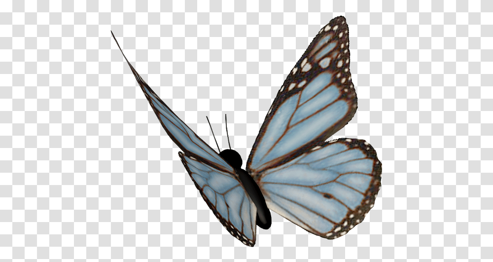 Clip Art Borboleta Asas Azuis Fundo Monarch Butterfly, Insect, Invertebrate, Animal, Bird Transparent Png