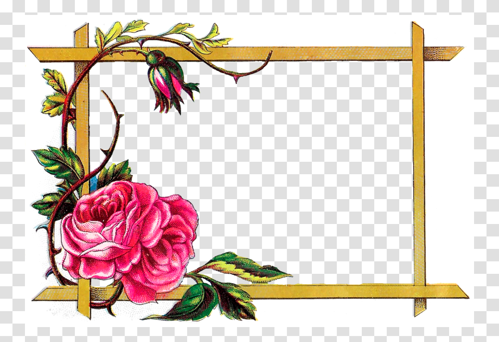Clip Art Borders Flowers Rose, Floral Design, Pattern, Plant Transparent Png