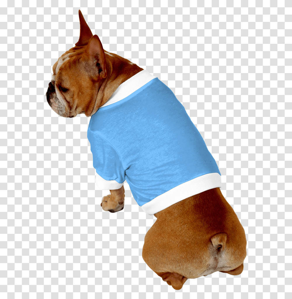 Clip Art Boxer French Bulldog Bulldog, Pet, Canine, Animal, Mammal Transparent Png