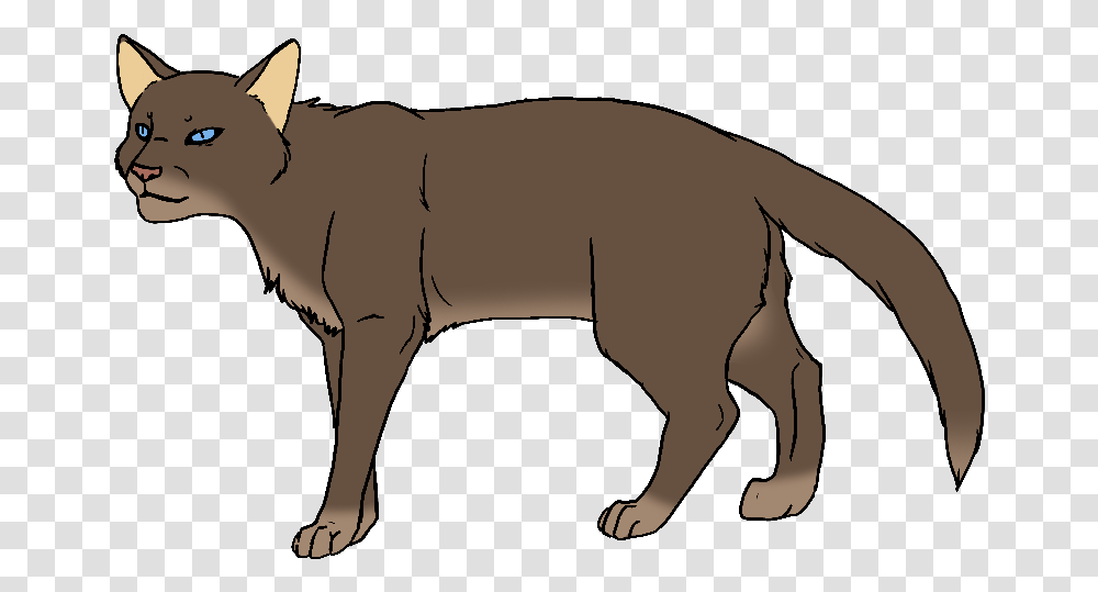 Clip Art Brown Cat With Blue Eyes Red Brown Warrior Cat, Animal, Mammal, Wildlife, Pet Transparent Png