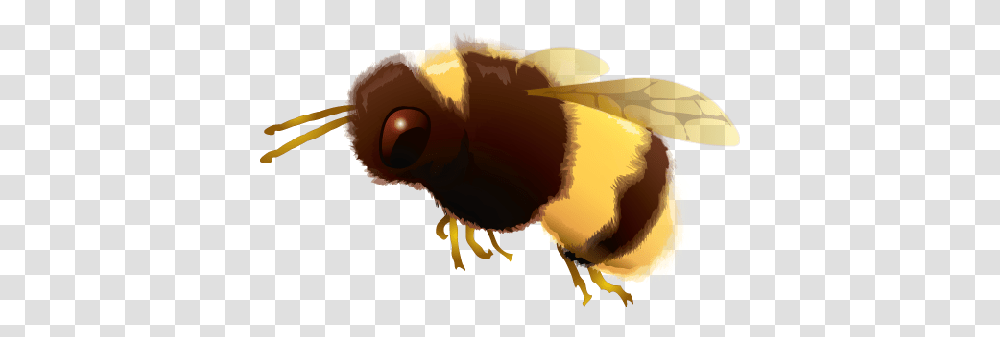 Clip Art Bumble Bee Agave Worm Salt, Insect, Invertebrate, Animal, Honey Bee Transparent Png