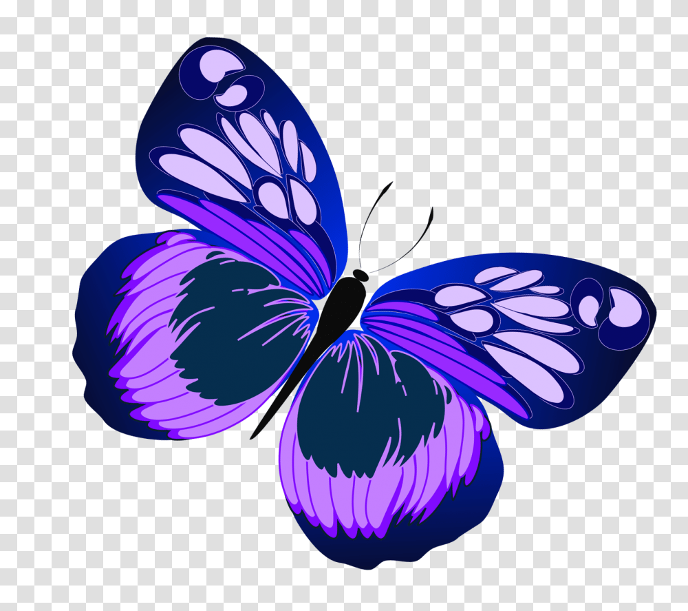 Clip Art Butterfly Clipartiki, Plant, Flower, Blossom Transparent Png