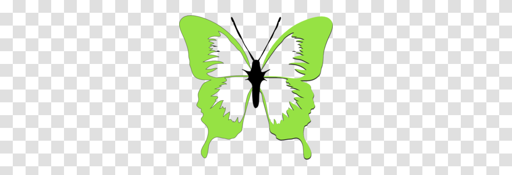 Clip Art Butterfly Green Bright, Stencil, Insect, Invertebrate, Animal Transparent Png