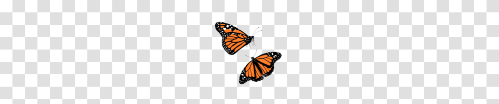 Clip Art Butterfly, Monarch, Insect, Invertebrate, Animal Transparent Png