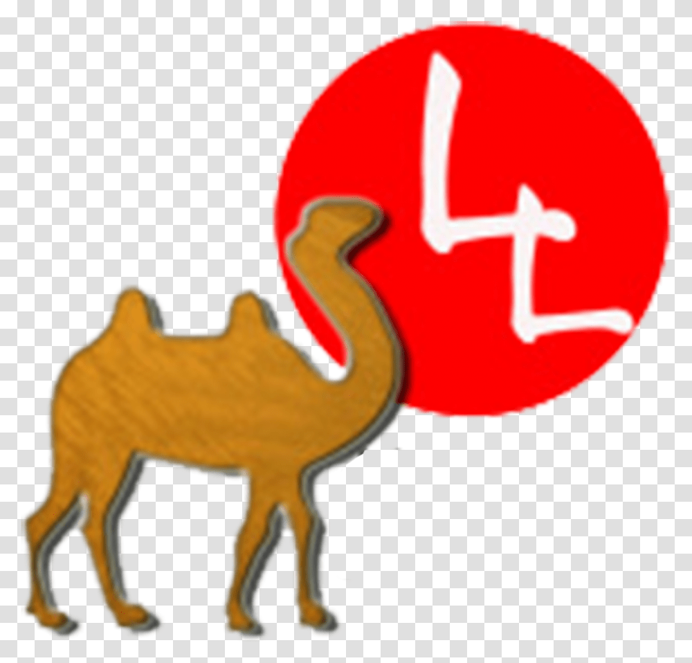 Clip Art, Camel, Mammal, Animal Transparent Png