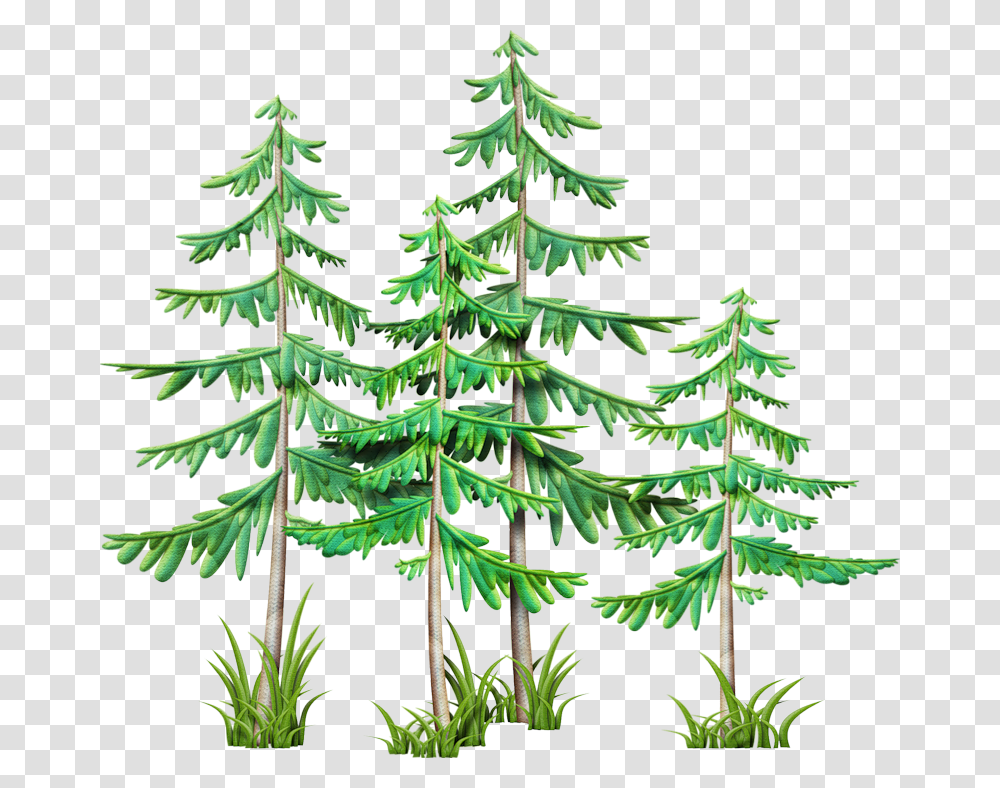 Clip Art Camping Stuff Branches Pine Mountain, Plant, Tree, Fir, Conifer Transparent Png