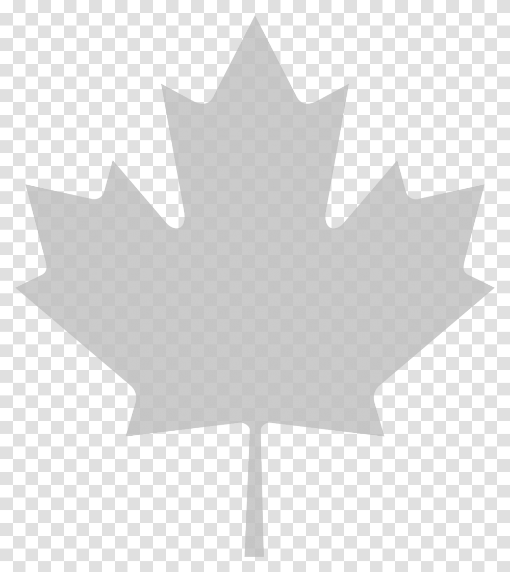 Clip Art Canadian Maple Leaf, Plant, Person, Human, Tree Transparent Png