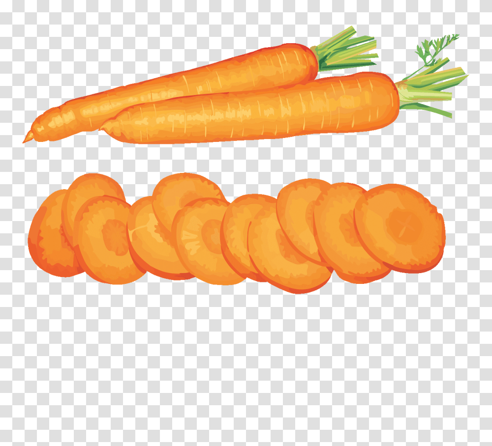 Clip Art Carrot Openclipart Free Content Image Carrot Download, Vegetable, Plant, Food, Root Transparent Png