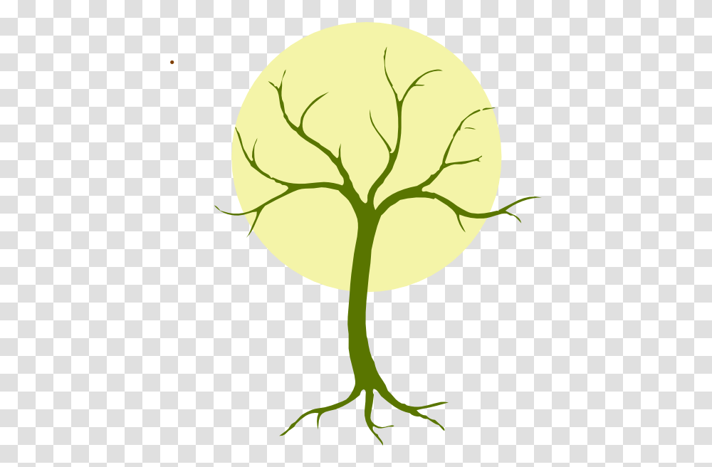 Clip Art Cartoon Jingfm Tree Base Drawing, Plant, Vegetable, Food, Produce Transparent Png