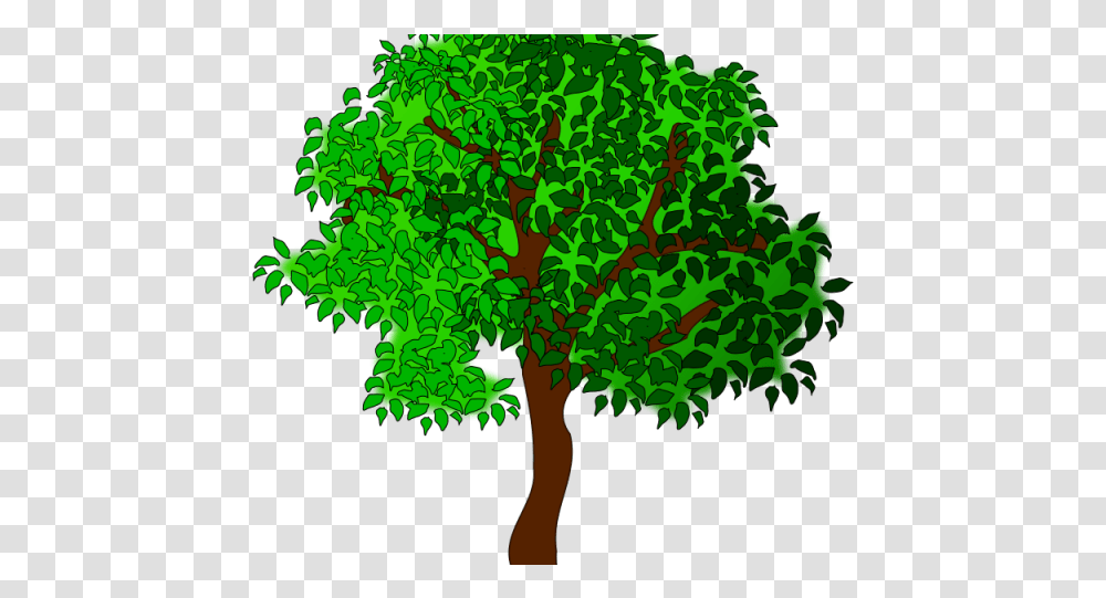 Clip Art Cartoon Tree Image Summer Summer Free Clip Art, Leaf, Plant, Green, Maple Transparent Png