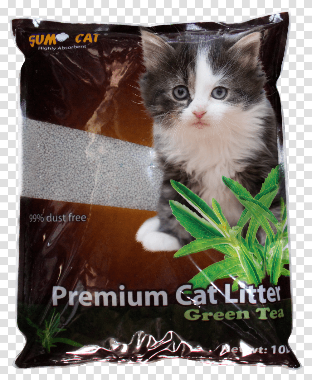 Clip Art Cats Whiskers Plant Cat Litter Premium Transparent Png