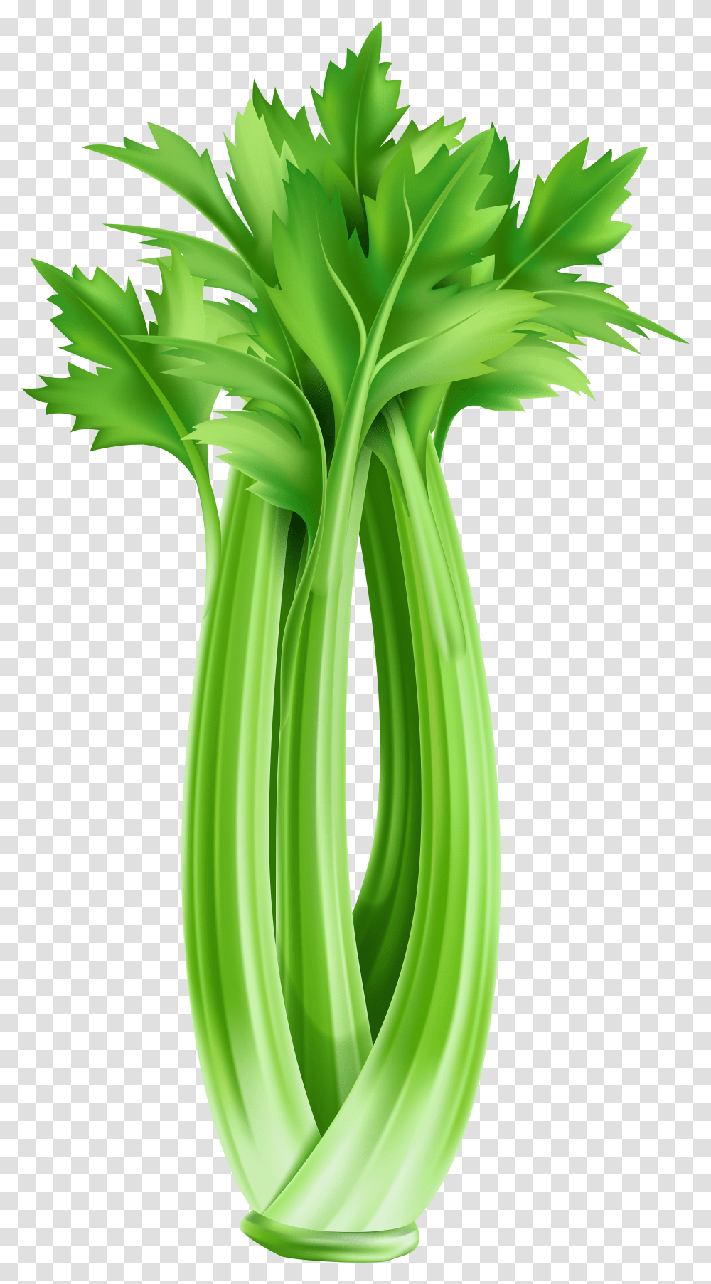 Clip Art Celery Clipart Celery Clipart Transparent Png