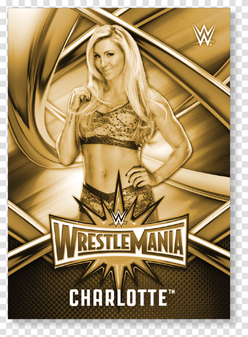 Clip Art Charlotte Wwe Road To, Person, Poster, Advertisement, Flyer Transparent Png