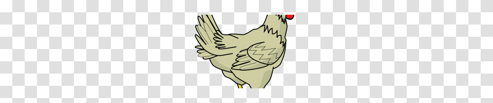 Clip Art Chicken Pictures Clip Art, Animal, Person, Bird, Poultry Transparent Png