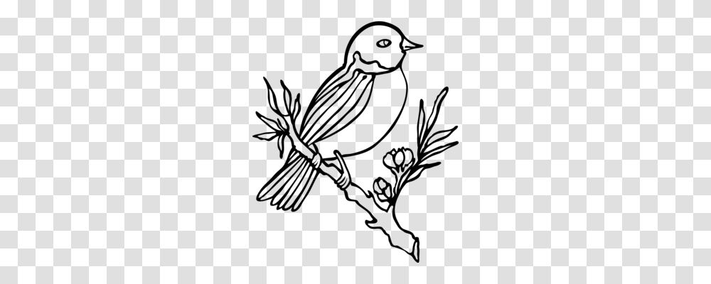 Clip Art Christmas Owl Northern Cardinal Bird Drawing Free, Gray, World Of Warcraft Transparent Png