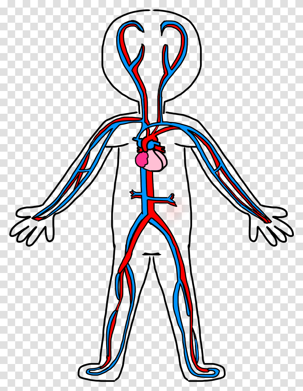 Clip Art Circulatory System Drawing Circulatory System Simple Drawing, Pattern, Ornament, Fractal, Light Transparent Png
