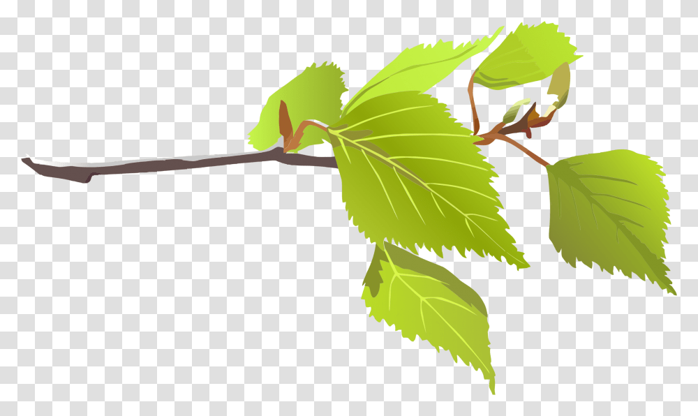 Clip Art Clip Art Branch, Leaf, Plant, Green, Potted Plant Transparent Png