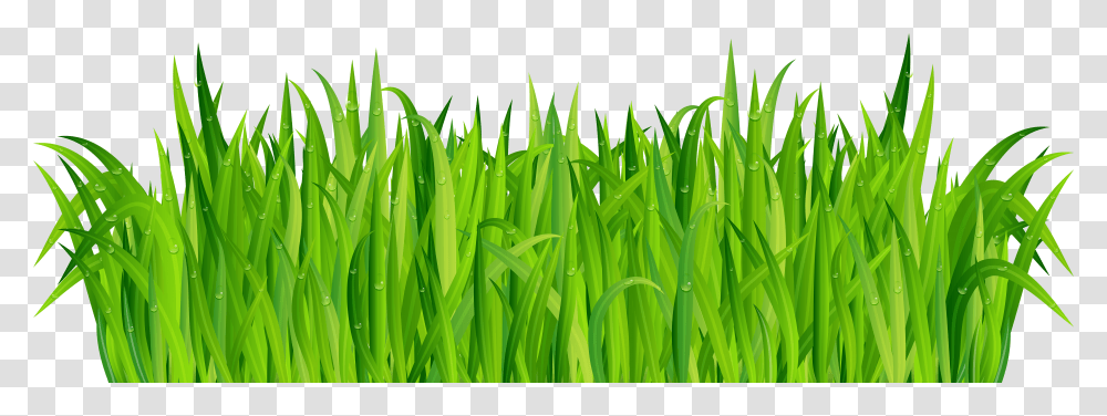 Clip Art Clip Art Of Grass Grass Transparent Png