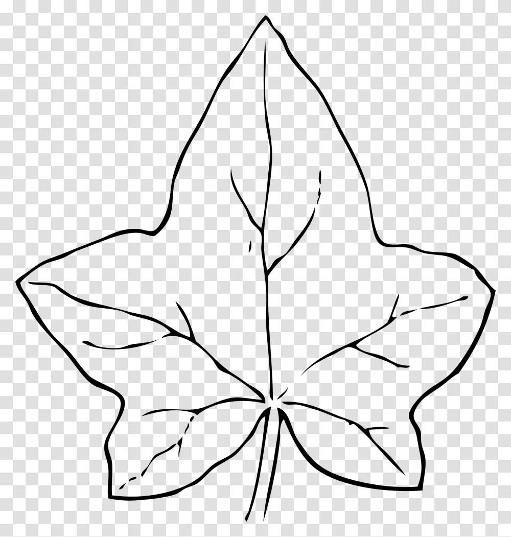 Clip Art Clip Art Of Leaf, Plant, Tree, Maple Leaf Transparent Png