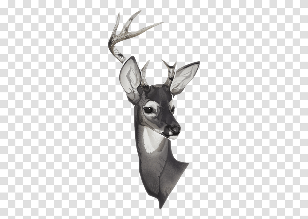 Clip Art Collection Of Free Deer Drawing, Wildlife, Animal, Antelope, Mammal Transparent Png