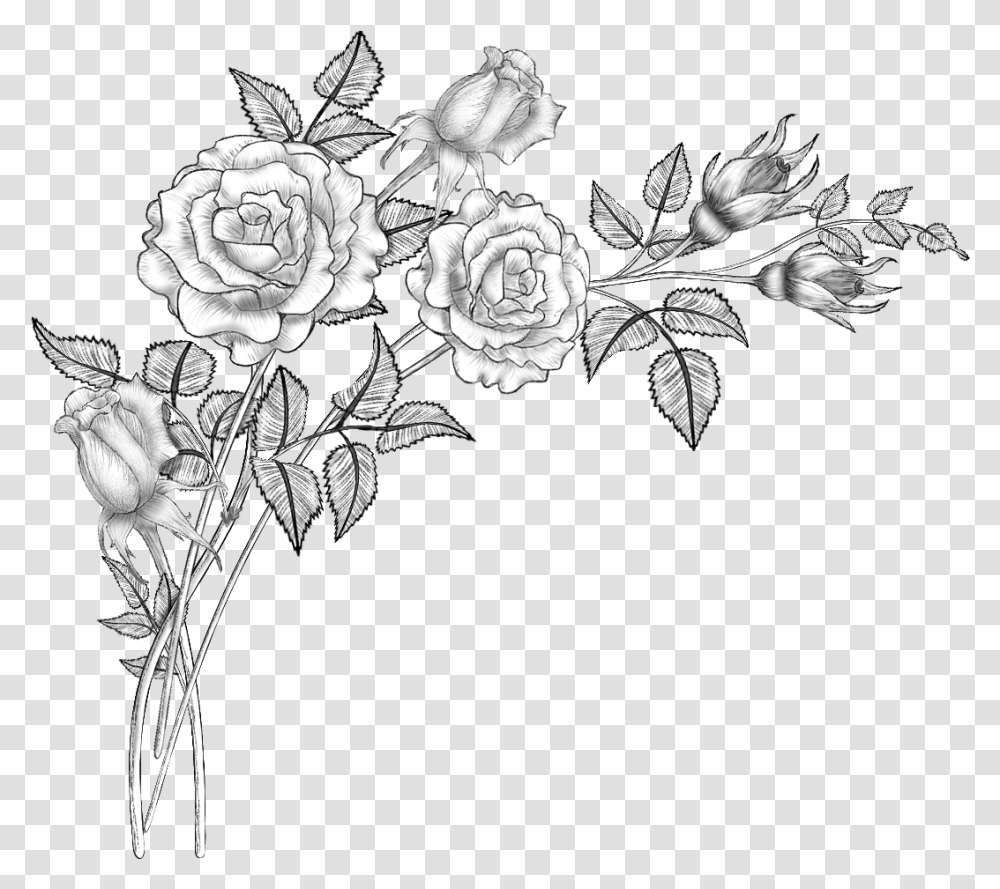 Clip Art Collection Of Free Drawing Flowers Drawing, Floral Design, Pattern, Plant Transparent Png