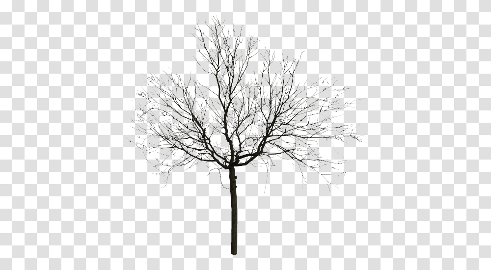 Clip Art Collection Of Free Drawing Snow, Tree, Plant, Nature, Outdoors Transparent Png