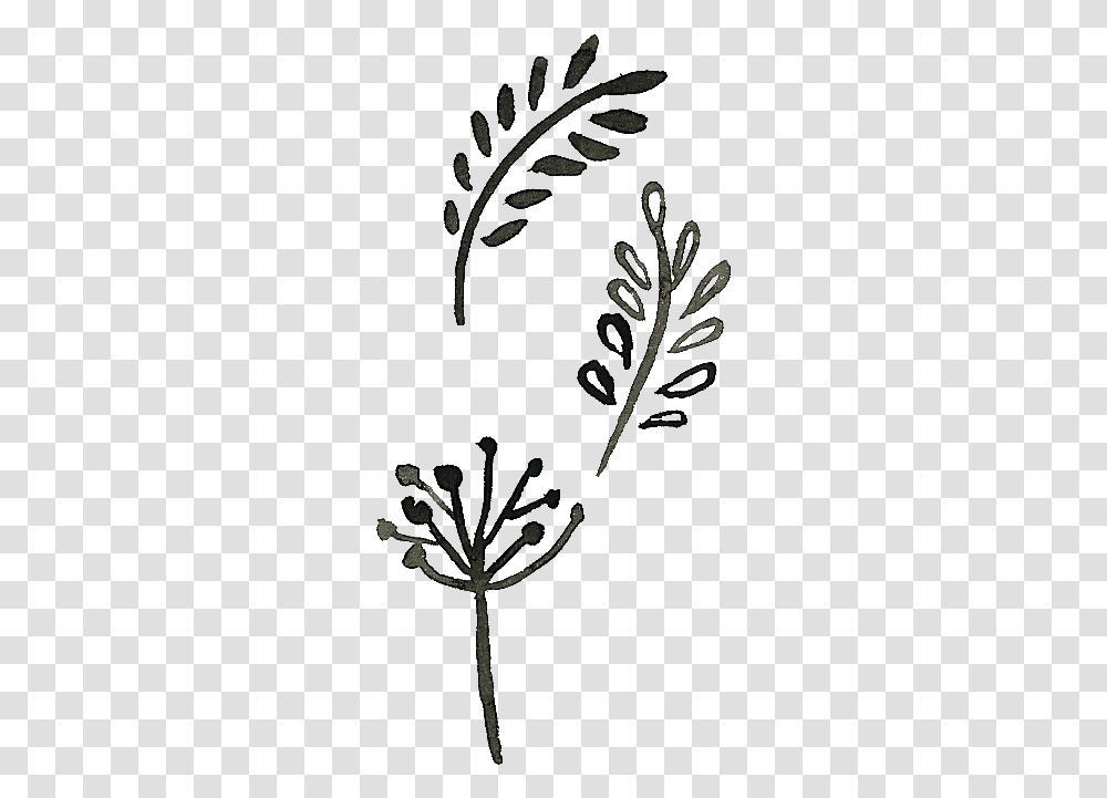 Clip Art Collection Of Free Leaf Doodles, Plant, Flower, Nature, Floral Design Transparent Png