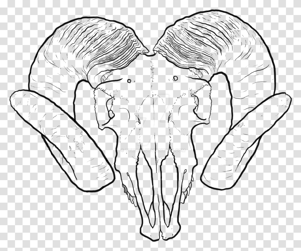 Clip Art Collection Of Free Valley Ram Skull Drawing, Logo, Trademark Transparent Png