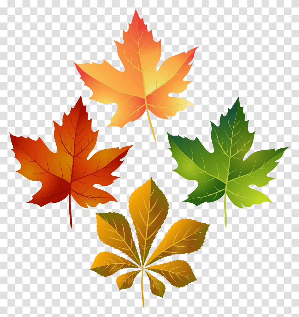 Clip Art Colorful Fall Leaves Clipart, Leaf, Plant, Tree, Maple Leaf Transparent Png