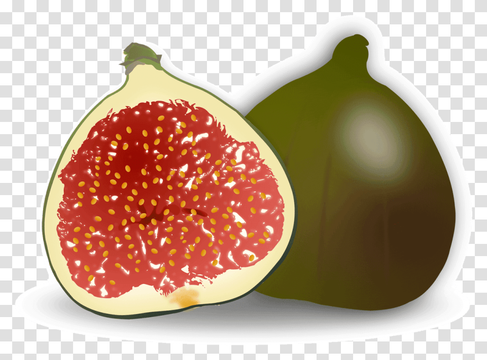 Clip Art Common Fig Accessory Fruit Fig Clipart, Plant, Food, Ketchup Transparent Png
