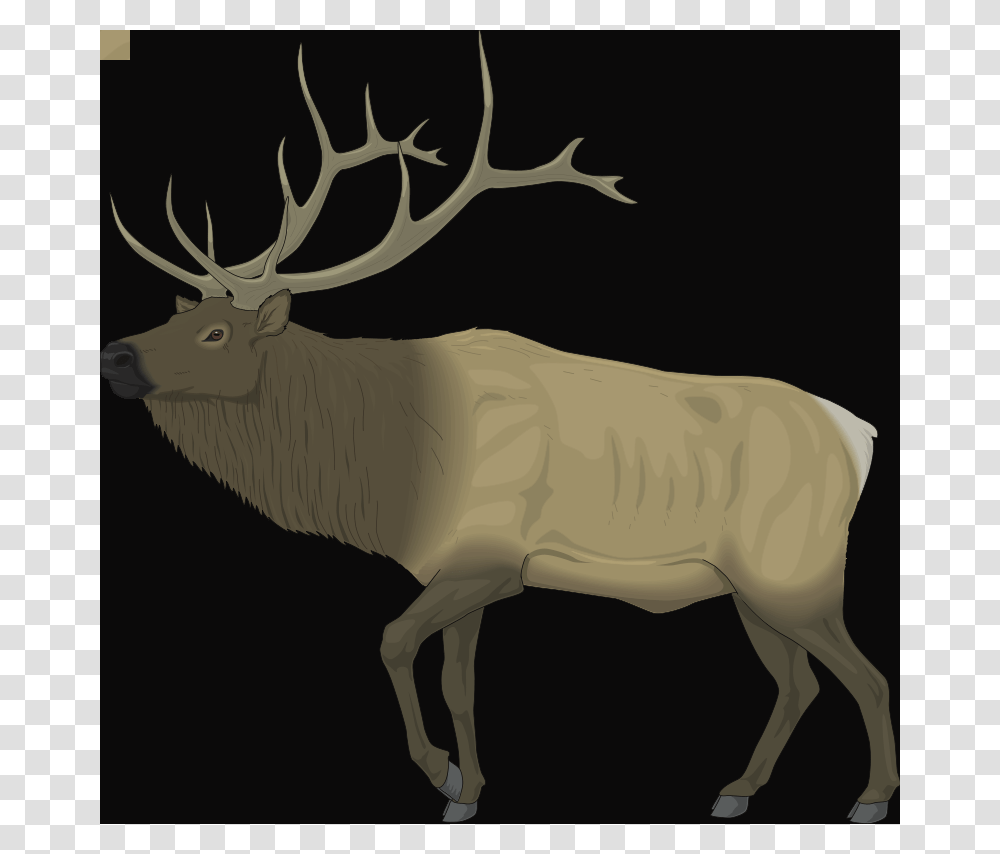 Clip Art Cow Head Silhouette Clip Art, Elk, Deer, Wildlife, Mammal Transparent Png