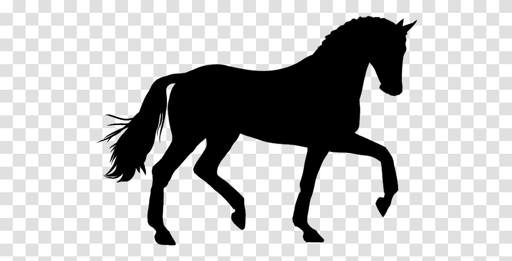 Clip Art Crafts Horses And Horse Silhouette Clipart, Gray, World Of Warcraft Transparent Png