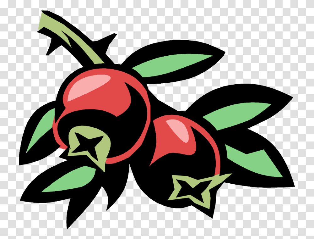 Clip Art Cranberry Vector Graphics Portable Network Graphics Image, Animal, Insect, Invertebrate, Plant Transparent Png